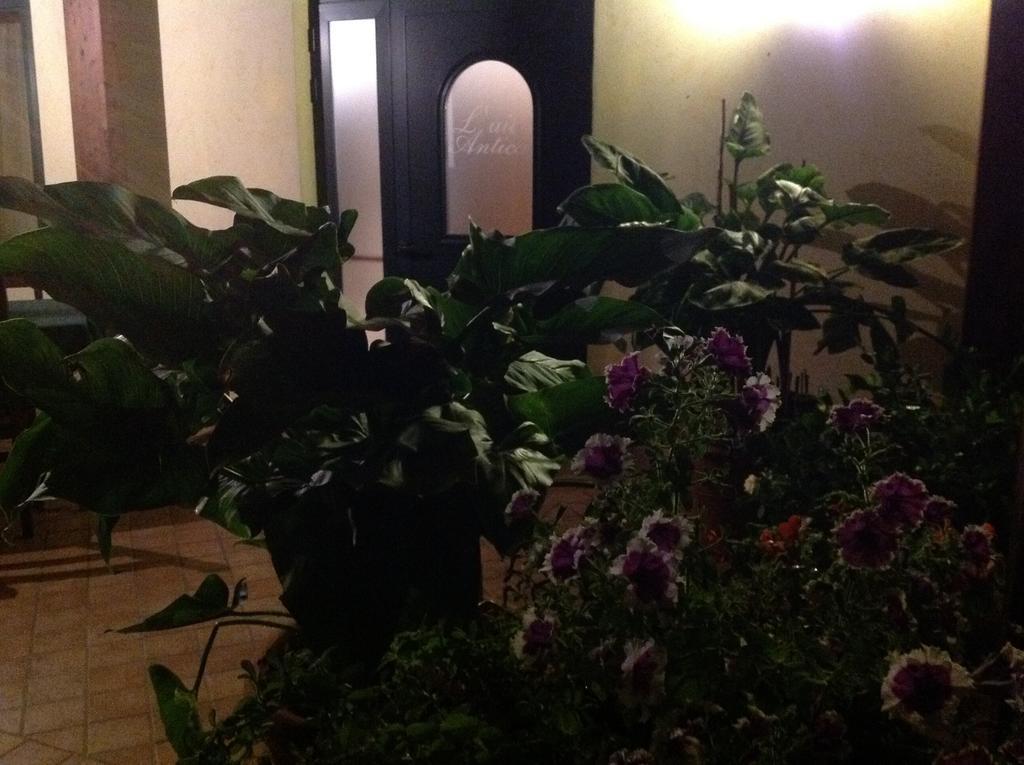 Bed and Breakfast L' Aia Antica Veroli Exterior foto